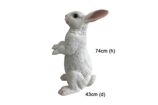 KDDD11 Rabbit – Large